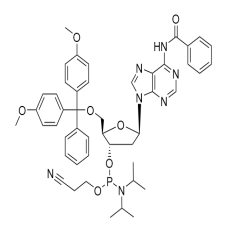 Bz-dA 亚磷酰胺单体