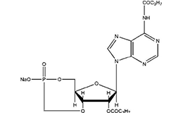 Dibutyryl cyclic AMP sodium salt
